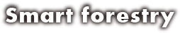 text